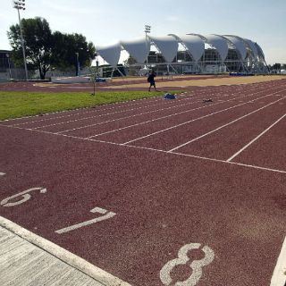 Golondrinas le echan una mano a la prensa