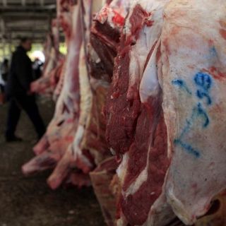 Próximo arranque de nuevo rastro TIF en Tepatitlán