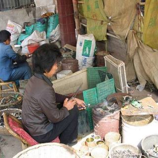 La basura electrónica causa gran contaminación