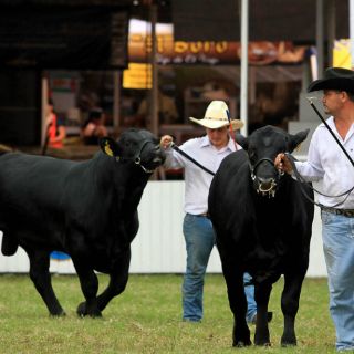 Finaliza la edición LXV de la Expo Ganadera