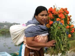 El portavoz de la CBP dijo que estas flores poseen un insecto que causa enfermedades a sembradíos y cultivos.  /