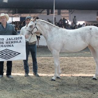 Clausuran la Expo Ganadera e invitan a invertir