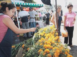 El cempasúchil es una de las flores más populares en el Día de Muertos.  /
