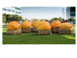 Un doodle muy animado para celebrar el Halloween en Google. ESPECIAL  /