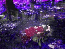 Nyima 445, del artista Annelies Ätrba, que se incluye en la exposición que desde hoy revela el otro lado del espejo de Alicia. EFE  /