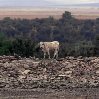El clima presiona la agenda agroalimentaria del país