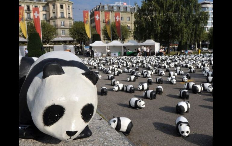 El Fondo Mundial para la Naturaleza va acompañado a un oso panda. ARCHIVO  /
