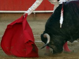 En el libro se aprecian imágenes y descripciones de un total de 70 quites con el capote. ARCHIVO EL INFORMADOR  /