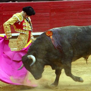 Expectación total para la Plaza México