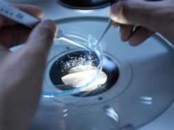 México reflexionará acerca de las cuestiones éticas y jurídicas que plantea la investigación sobre las ciencias de la vida. ESPECIAL  /