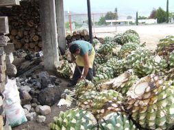 Actualmente la investigación sigue en fase experimental. ID  /