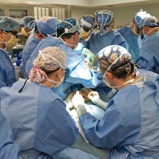 Donantes hígado presentan complicaciones años más tarde