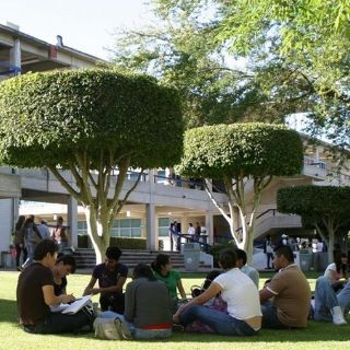 Proyecto presupuestal queda corto a la UdeG