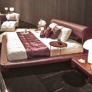 Rescatan del olvido palabras moribundas como ababol, chiticalla o zorrocloco