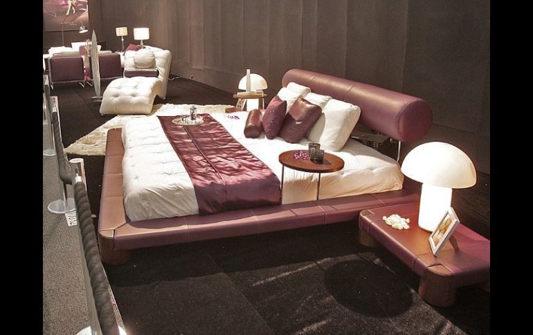 Un acerico suele ser buen compañero cuando llegan los alifafes. ARCHIVO  /