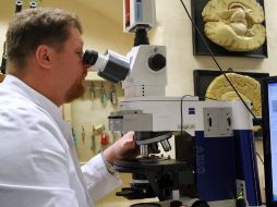 Del laboratorio del catedrático galardonado han salido estudios sobre cáncer, artritis y enfermedades hereditarias. EFE  /