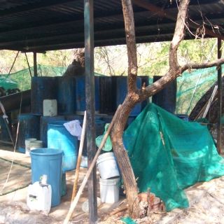 Soldados desmantelan dos narcolaboratorios en la Entidad