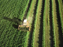 ''La gente no suele percibir el transporte como algo dañino para la agricultura, pero puede serlo recalcó McGlade. ESPECIAL  /