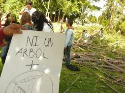 Desde el pasado fin de semana han sido talados 250 ejemplares de añejos pinos, jacarandas y eucaliptos. ESPECIAL  /
