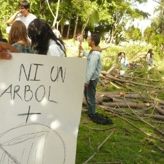 Interrumpen obras en la Barranca