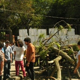 Defiende coordinador del Museo haber enterado al CUAAD