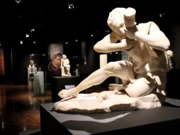 La muestra estará en el museo del 9 de noviembre al 22 de enero de 2012. NOTIMEX  /