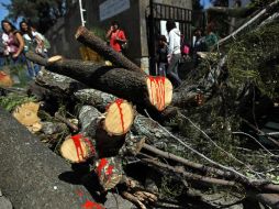 Estudiantes y académicos del CUAAD se manifestaron por el inicio de las obras para construir el museo.  /