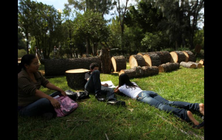 El presidente municpal también aseguró que sí se regulará que su ejecución esté apegada a lineamientos ambientales estrictos.  /