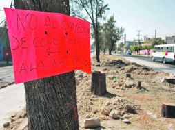 Ante las obras de la Línea 1 del Macrobús, el Gobierno del Estado debe entregar cerca de 11 mil árboles a Guadalajara.  /