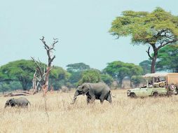Un paisaje diferente e ideal para unas vacaciones. EL UNIVERSAL  /