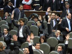 La petición se hizo durante la discusión presupuestal 2012. NTX  /