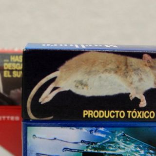 Prevén senadores prohibir fumar en universidades