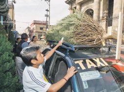 Los consumidores tendrán a su alcance una nueva oferta de árboles de navidad entre el 18 y el 21 de noviembre próximos.  /