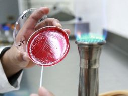 Este nuevo material se ha creado a partir de sustancias ya existentes. ARCHIVO  /