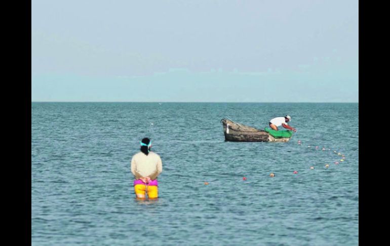 La falta de lluvias en el pasado temporal afectó a la Cuenca Lerma-Chapala. ARCHIVO  /