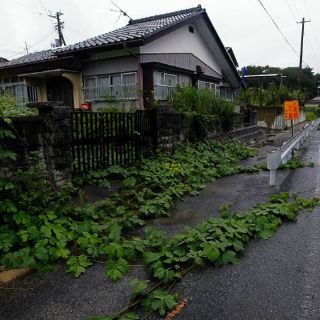 Ejercito nipón iniciará en diciembre limpieza de edificios en Fukushima