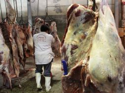 La Unión Americana estableció la medida COOL a determinados productos agropecuarios y a los cortes de carne de res de ganado bovino.  /
