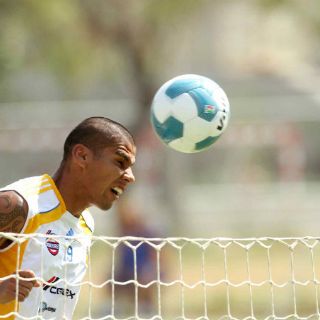 Tigres apelaría por expulsión de Salcido