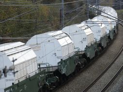 Las protestas por el medio ambiente también surgieron en Alemania. EFE  /