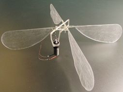 El artefacto convierte la energía cinética de los movimientos de las alas del insecto en electricidad. ESPECIAL  /