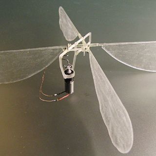 Insectos con elementos mecánicos ayudarían en observaciones riesgosas