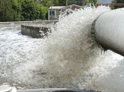 El sistema ya ha sido instalado en una planta del sur de Israel donde han conseguido producir grandes cantidades de celulosa. ARCHIVO  /