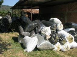 La finca donde fue hallada la droga fue habilitada como granja de animales.  /