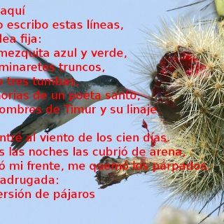 Presentan aplicación para 'Ipad' del poema 'Blanco', de Octavio Paz