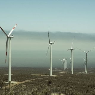 Financiará BID construcción del mayor parque eólico de México