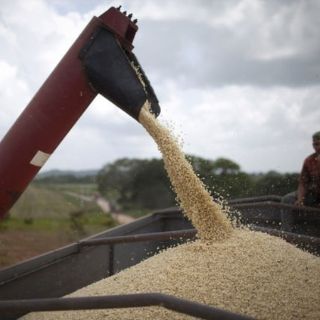 Gruma compra compañía de molienda de maíz en Turquía