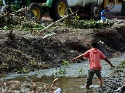 Emilio González solicitó 950 millones de pesos para atender los daños causados por ''Jova''. ARCHIVO  /