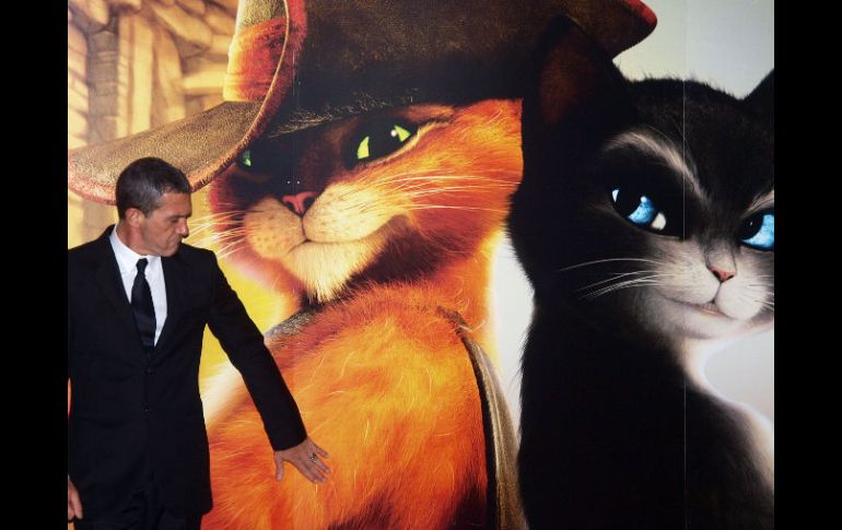 El actor español sabe que 'Gato' está diseñado en torno a su persona. AFP  /