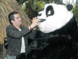 Omar Chaparro juega durante la presentación del DVD de las cintas Kung Fu Panda 1 y 2. NTX  /