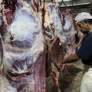 Cero intoxicaciones por carne de res en Panamericanos